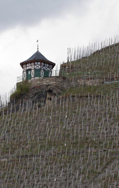Weingut & Gaestehaus Schmitz-Bergweiler Bernkastel-Kues Luaran gambar